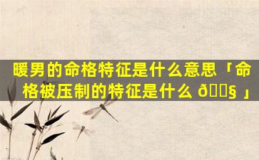 暖男的命格特征是什么意思「命格被压制的特征是什么 🐧 」